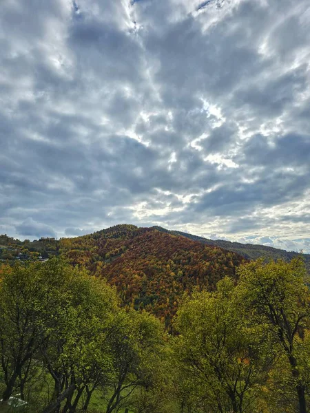 Bulutlu bir günde yeşil, sarı ve kırmızı ağaçlarla dolu renkli orman dağının güzel sonbahar manzarası. Muntele Rece, Cluj, Romanya