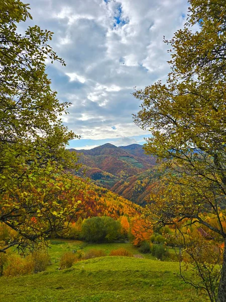 Sonbahar dağ manzarası, renkli ormanlar ve mavi gökyüzünde bulutlar. Muntele Rece, Cluj, Romanya
