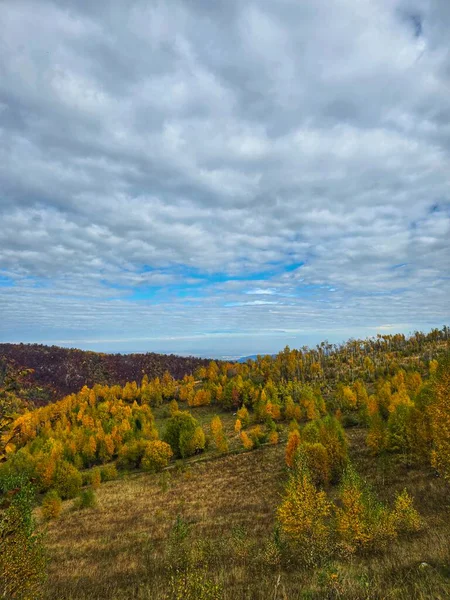 Bulutlu bir sonbahar gününde Muntele Rece 'deki dağın tepesinden görülen Cluj. Boyaya benzer dikey fotoğraf. Muntele Rece, Cluj, Romanya