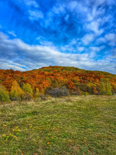 Yeşil otlaklı güzel sonbahar manzarası, yeşil, sarı, turuncu ve kırmızı yapraklı renkli yaprak ormanı ve beyaz bulutlu parlak mavi gökyüzü. Salicea, Cluj, Romanya