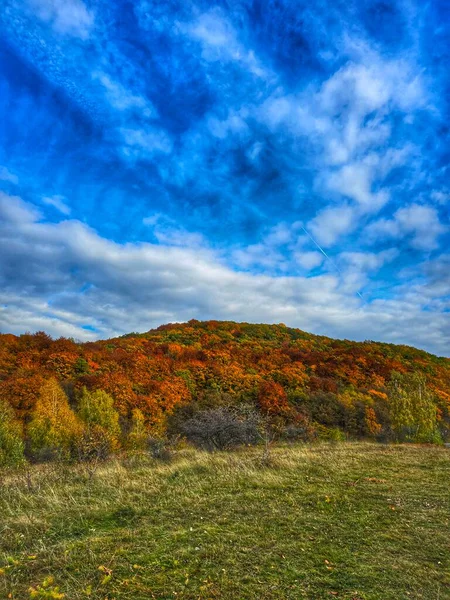 Yeşil otlaklı güzel sonbahar manzarası, yeşil, sarı, turuncu ve kırmızı yapraklı renkli yaprak ormanı ve beyaz bulutlu parlak mavi gökyüzü. Salicea, Cluj, Romanya