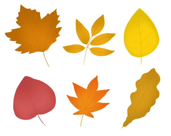Jesień Liście Rośliny Sezonowe Ramka Ilustracja Projekt Jesień Kolorowe Liście — Zdjęcie stockowe