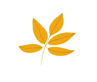 Sonbahar yaprakları mevsimlik çerçeve tasarımı sonbahar renkli yapraklar sonbahar tatili