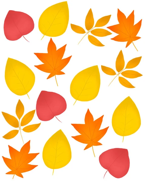 Hojas Otoño Planta Marco Estacional Ilustración Diseño Hojas Otoño Colorido — Foto de Stock