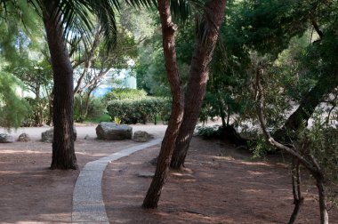 parkın içinden ayak yolu