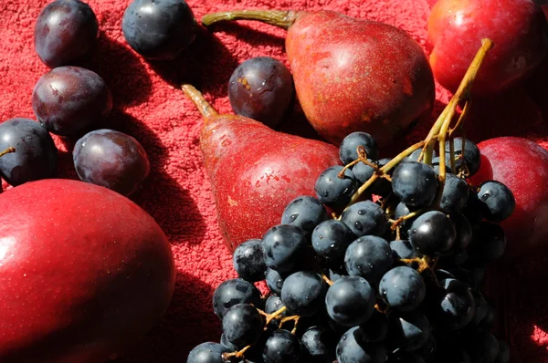 Fruits in hard light — Stock Photo, Image