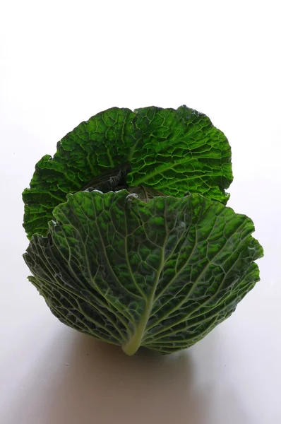 Savoy cabbage leaves in backlight — Stock Photo, Image