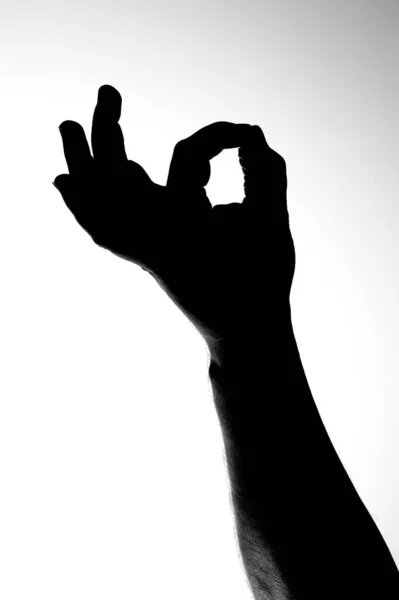 Zwart Wit Beeld Van Silhouet Van Hand Tonen Gebaar — Stockfoto