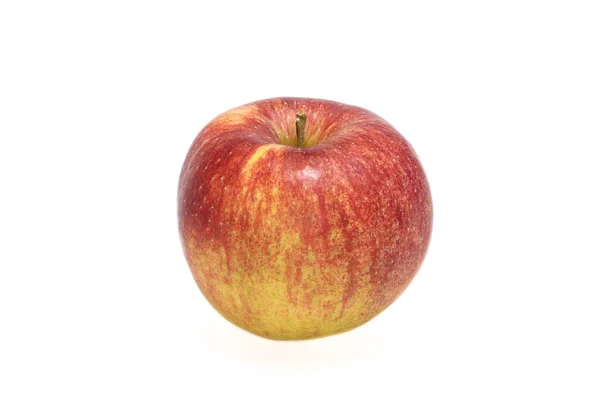 Całe Pojedyncze Jabłko Jonagold Białym Tle — Zdjęcie stockowe
