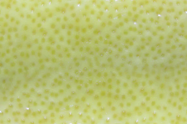 Close Lemon Peel Abstract Background — Stock Photo, Image