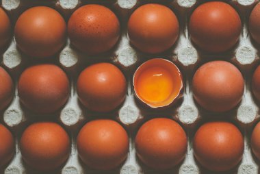 Geri dönüştürülmüş kağıt tepside tam kahverengi tavuk yumurtası ve sarısı ile bir tane aç.