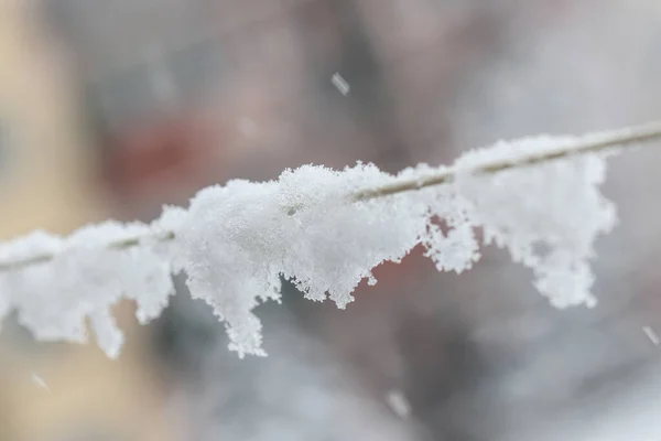 Detailní Záběr Čerstvý Sníh Pokrývající Prázdnou Šňůru Oblečení Během Sněžení — Stock fotografie