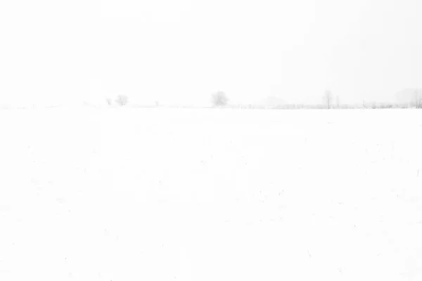 下雪天 田野被雪覆盖 — 图库照片