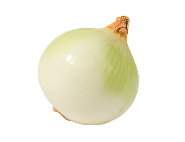 Soğan
