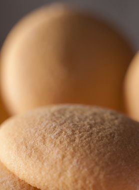 Sünger bisküvi Close-Up