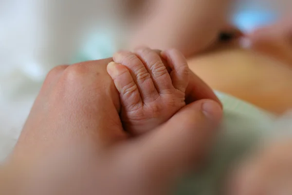 Noworodka trochę ręka trzymać rękę dorosłego — Zdjęcie stockowe