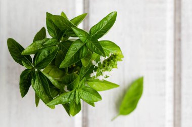 Fesleğen yaprakları ve çiçekler beyaz ahşap bir arka planda. 