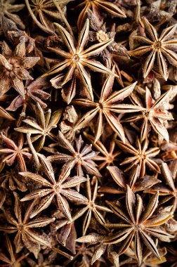 Yıldız anason yakın plan. Üst görünüm. 