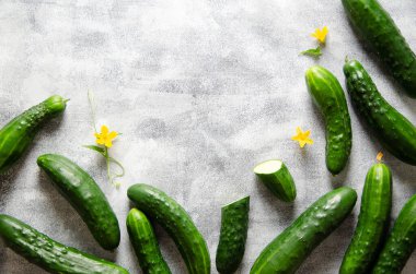 Salatalık ve salatalık çiçekleri gri bir arka planda. 