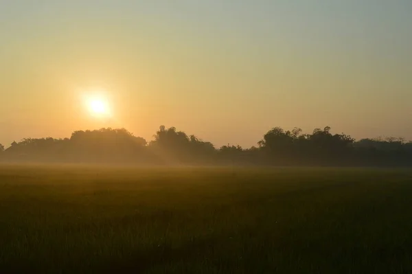 morning sunrise on the field with a beautiful sunset in a meadow, the sun shines through the fields of