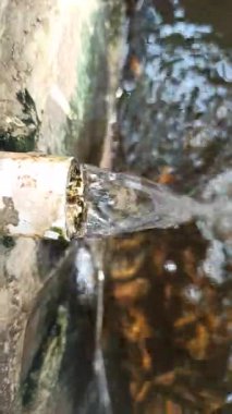 Musluktan balık havuzuna akan temiz su yüzeyde dalgalanmalar yaratır ve sağlıklı bir su ortamını destekler..