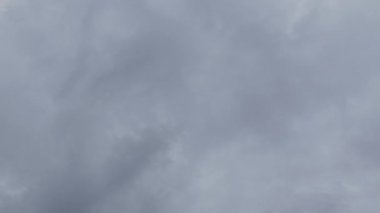 Parktaki dekoratif bir çeşme serinletici ve estetik bir atmosfer yaratıyor. Akan su, açık havaya hareket, ses ve güzellik katıyor.