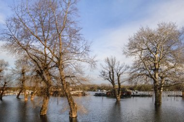 Sava Nehri, Yeni Belgrad, Sırbistan, yüzen evler ile sular altında arazi fotoğraf