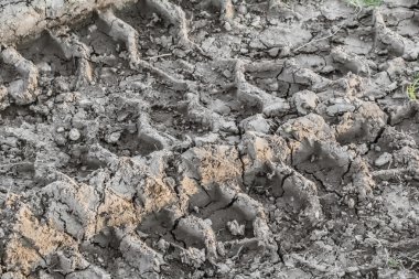 Tekerlek iziyle kuru kırık çamur