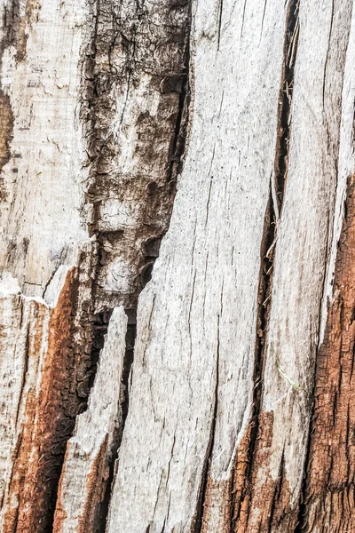 Παλιό, ξεπερασμένο ραγισμένα σάπια ξύλινα σιδηροδρομικών στρωτήρων τραχιά υφή επιφάνειας — Φωτογραφία Αρχείου