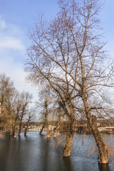 Photo de terres inondées avec des maisons flottantes à Sava River, Nouvelle Belgrade, Serbie — Photo