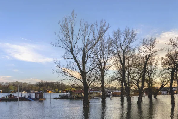 Fotografía de la tierra inundada con casas flotantes en el río Sava  - — Foto de Stock