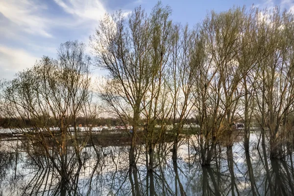 Sfotografować zalane ziemi z pływające domy w rzece Sava - — Zdjęcie stockowe