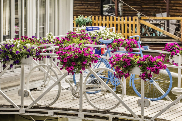 White and Blue Painted Bicycles With a Vivid Flowery Arrangement