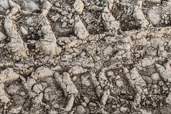 Barro agrietado en seco con pistas de neumáticos — Foto de Stock