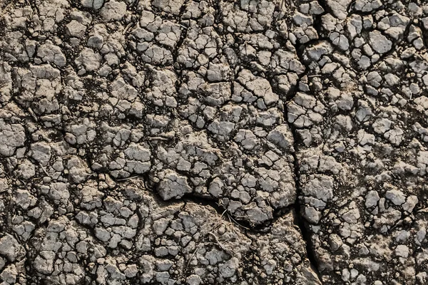 焦げた不毛の荒涼としたひびの入った土壌表面を乾燥します。 — ストック写真