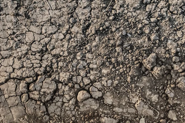 焦げた不毛の荒涼としたひびの入った土壌表面を乾燥します。 — ストック写真