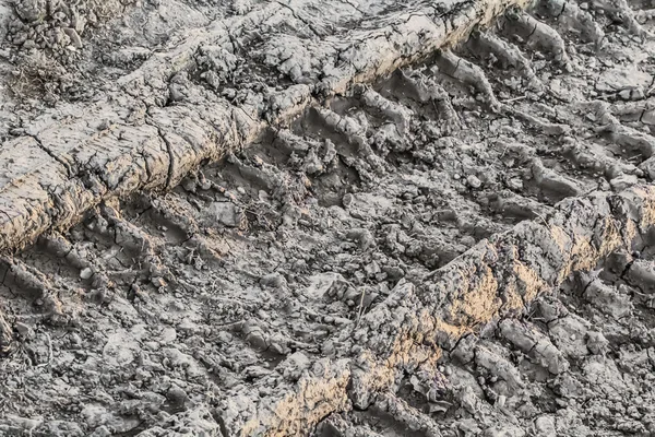 Barro agrietado en seco con pistas de neumáticos — Foto de Stock