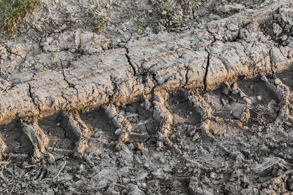 Сухая грязь с шинами
