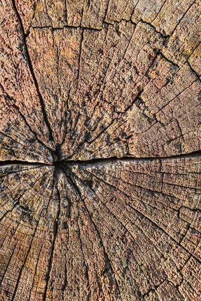 Velho Weathered podre rachado quadrado madeira Bollard textura de superfície betuminosa — Fotografia de Stock