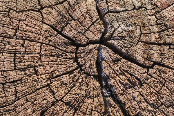 Old Weathered Rotten Cracked Square Timber Bollard Bituminous Surface Texture — Stock Photo, Image