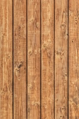 White Pine Planks Hut Wall Surface Detail_