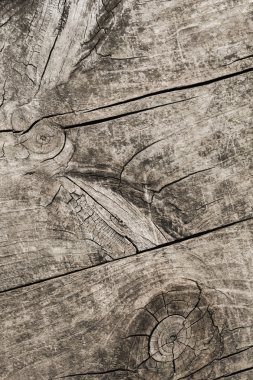 Yıpranmış eski kırık çürük sert tahta Grunge doku detay