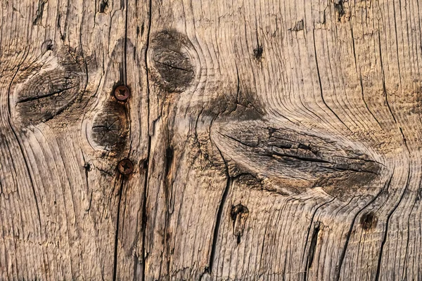 Старая треснутая узловая доска со встроенными ржавыми винтами Филлипса — стоковое фото