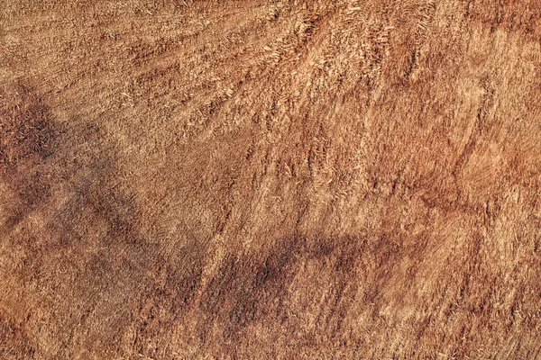 Круглая текстура тополя — стоковое фото