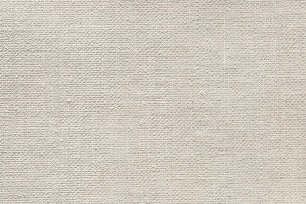 Artist Primed Linen Duck Coarse Grain Canvas Grunge Texture — Stock Photo, Image