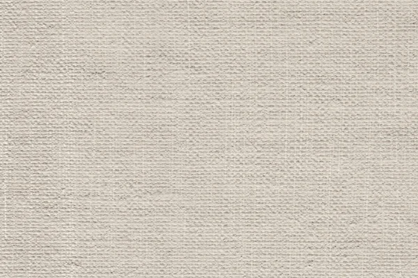 Artist Primed Linen Duck Coarse Grain Canvas Grunge Texture — Stock Photo, Image
