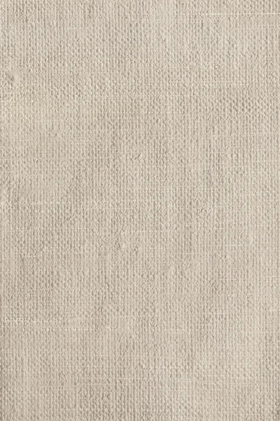 Artist Primed Linen Duck Coarse Grain Canvas Grunge Texture — Stock Photo, Image