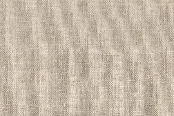 Artist Primed Linen Duck Coarse Grain Canvas Grunge Texture — Stock Photo, Image