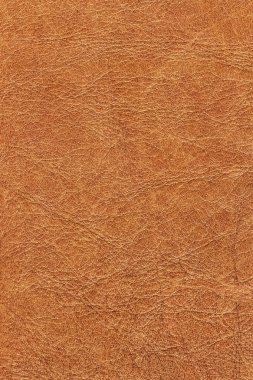 Buruşuk Grunge doku örnek detay eski inek derisi buruşmuş