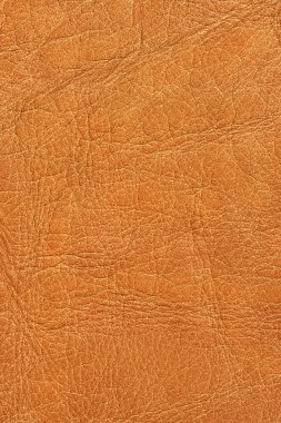 Buruşuk Grunge doku örnek detay eski inek derisi buruşmuş